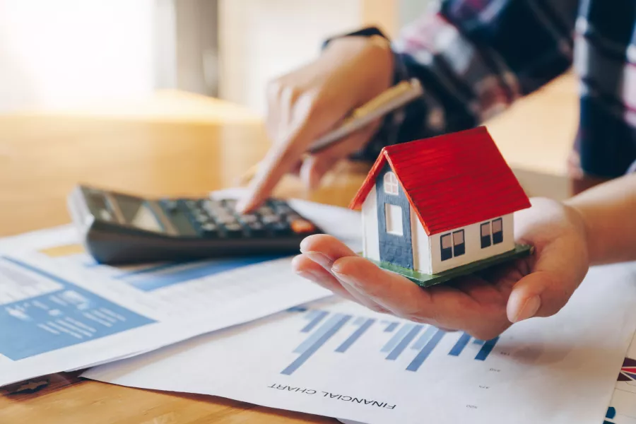 Secured and Unsecured Loans 